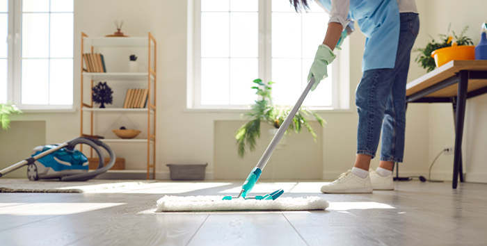 Professional Light Housekeeping Services